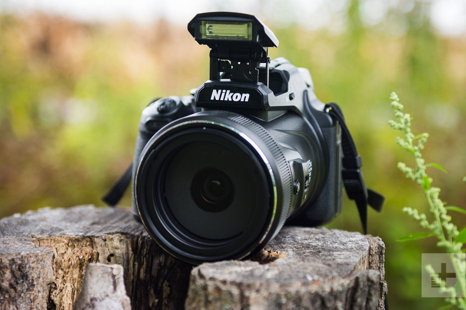 Nikon Canon Camera Image Recovery Pc Software
