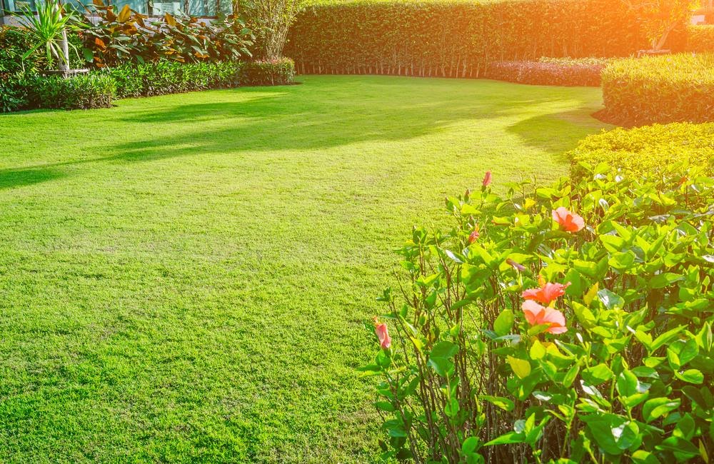 Why is Gardener Kidderminster Services Important for Your Garden